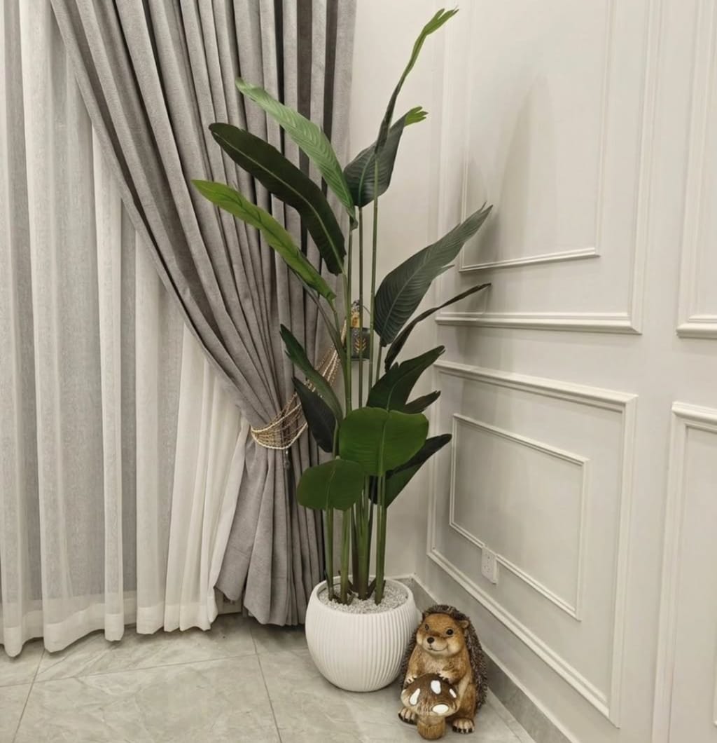 Home Decor